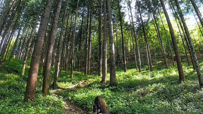 Partenariat Atelier Penard